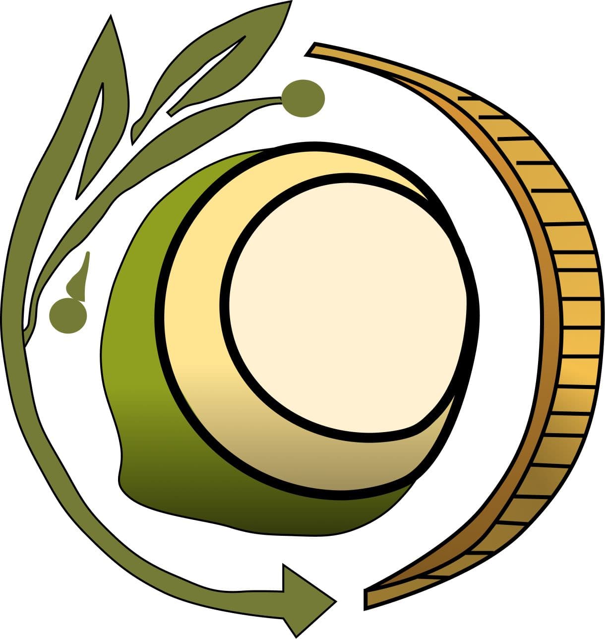 Coin Conut